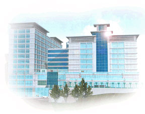 Tailor made Medical Legal Lectures provided to St. Teresa Hospital and Union Hospital ( 12 CNE Points ) 